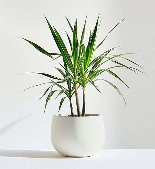 Home product 05